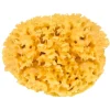 Natursvamp
