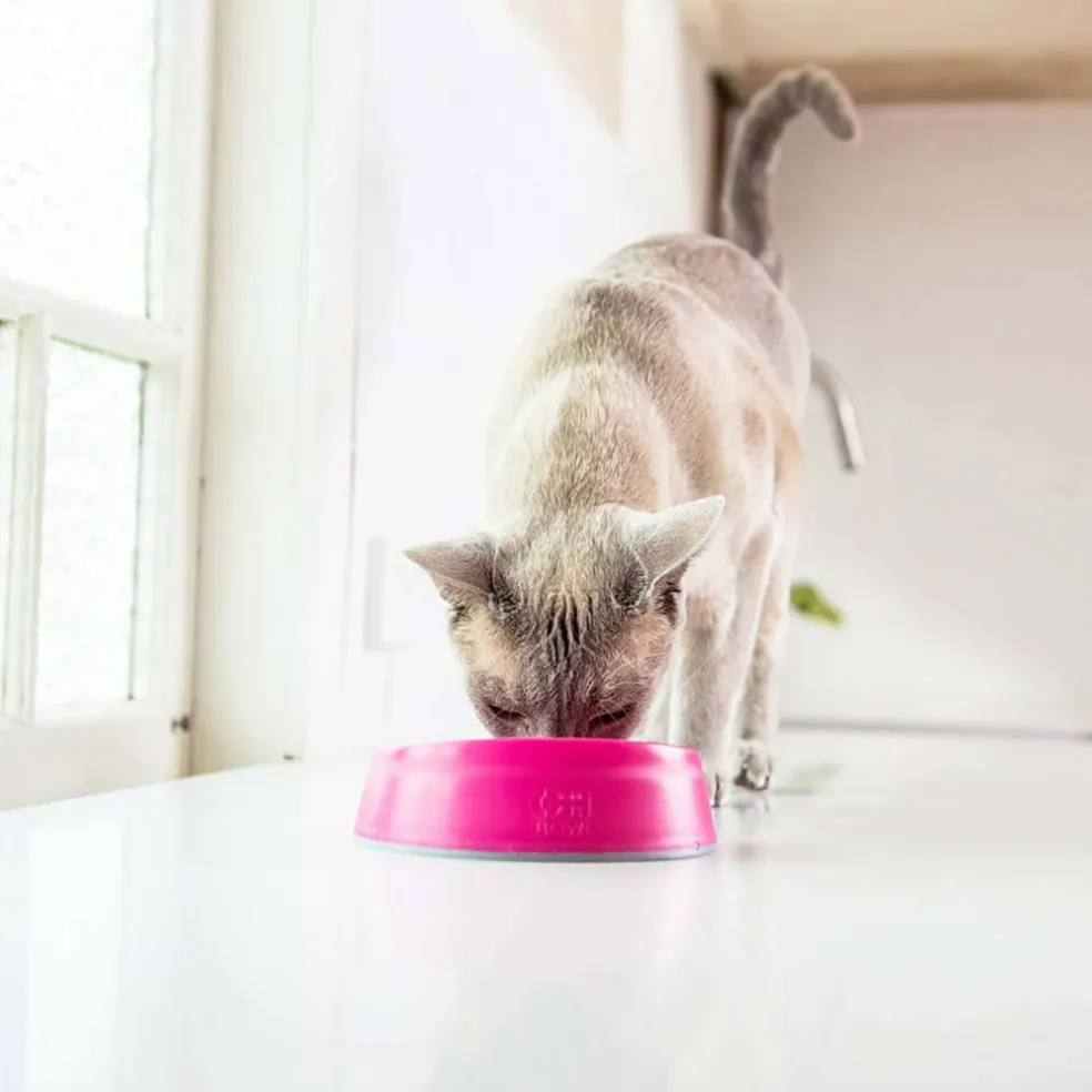 OH Bowl Kat