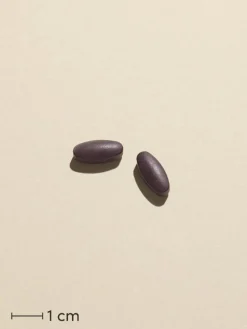 OmniGravid