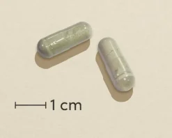 OmniKalk Overgangsalder