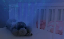 Otto the Otter Projector