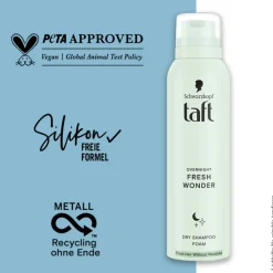 Overnight Fresh Wonder Dry Shampoo Foam