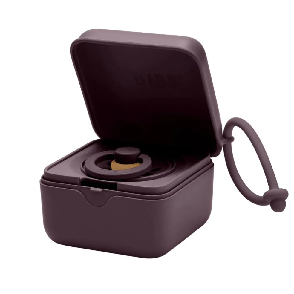 Pacifier Box