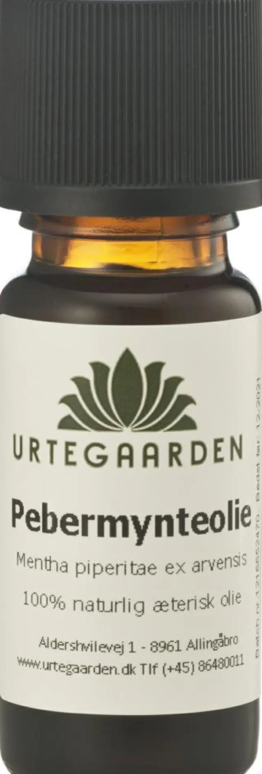 Pebermynteolie Æterisk Olie