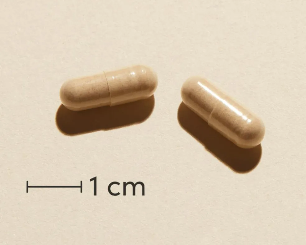 Peptrase GO