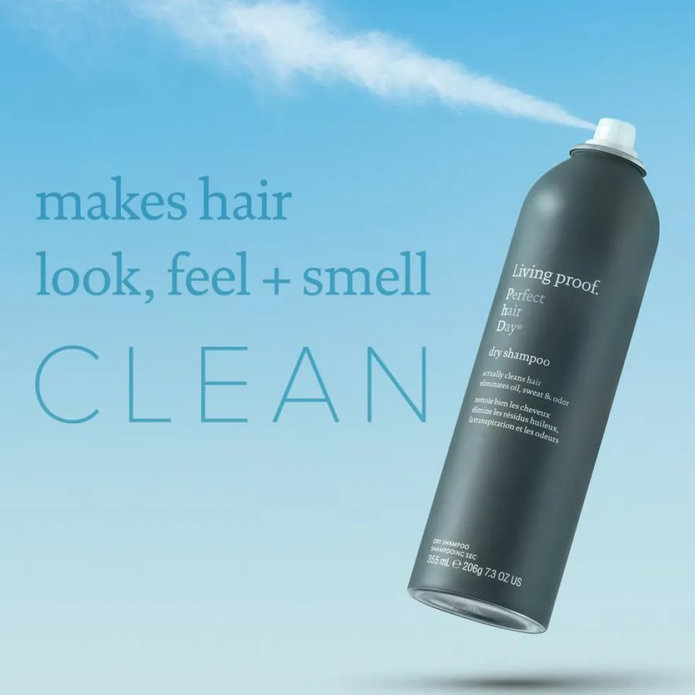 Perfect Hair Day Dry Shampoo
