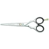 Pre Style Ergo P 5,5" Styling Saks