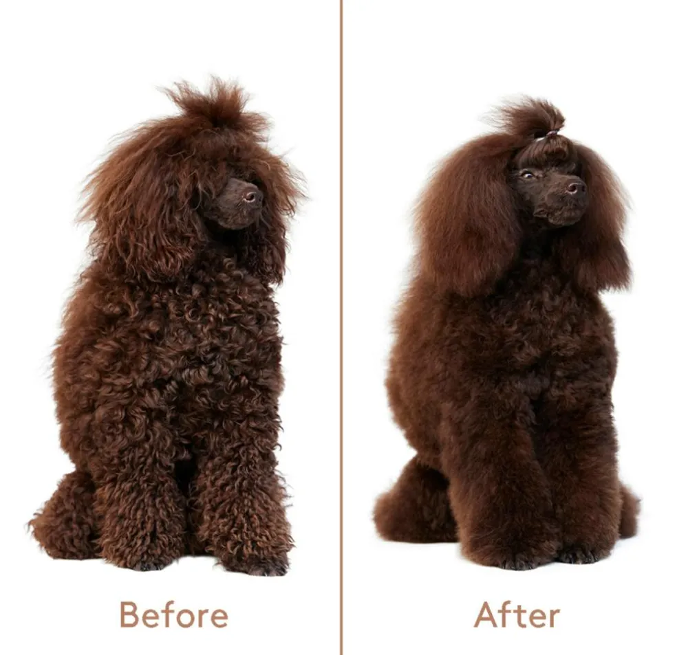 Refresh+Detangle Groomingspray