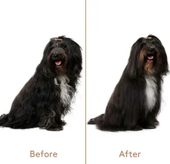 Refresh+Detangle Groomingspray