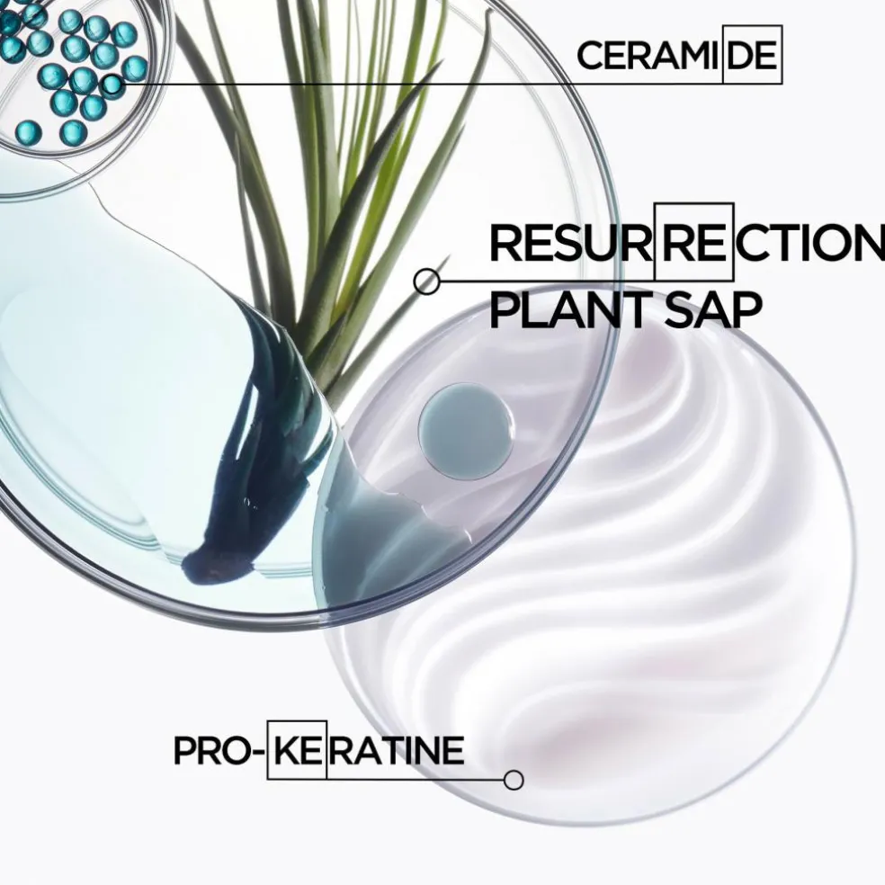 Resistance Ciment Anti-Usure Topseal Conditioner
