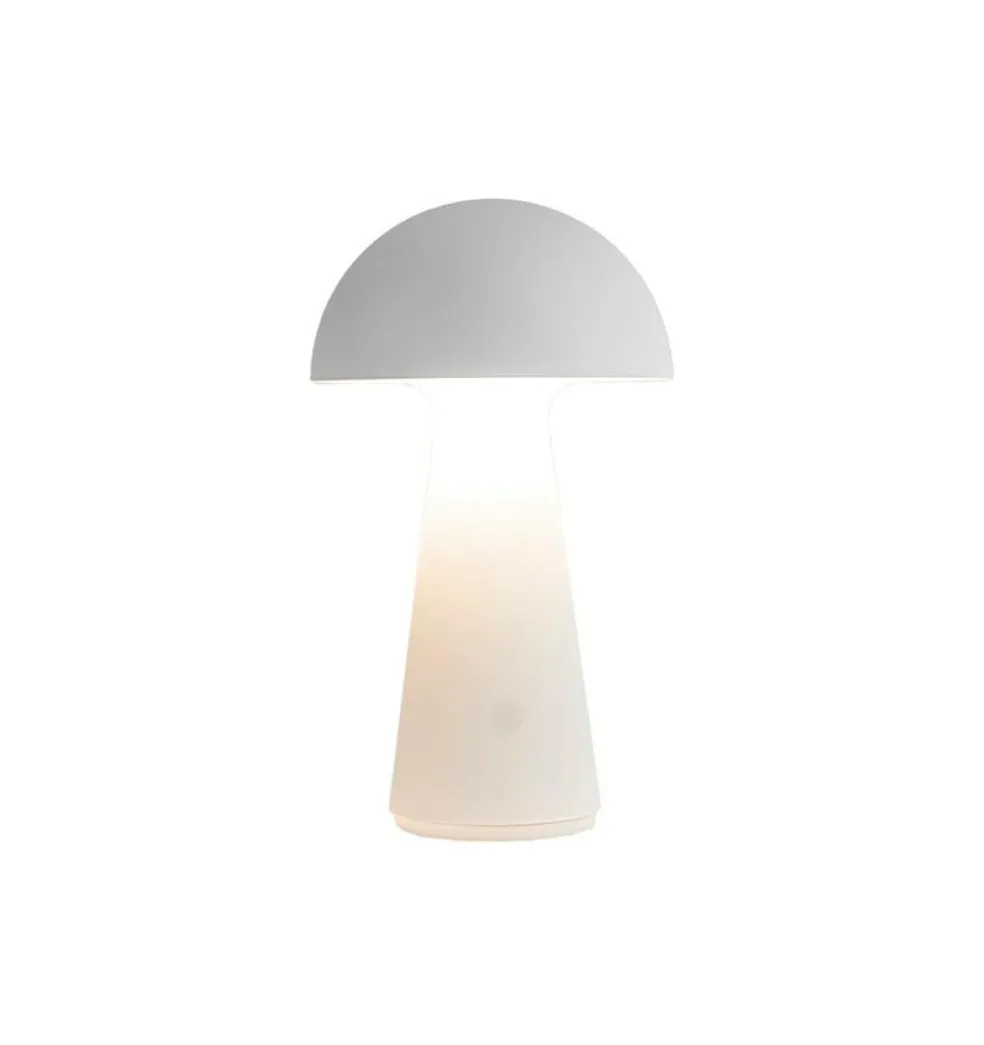 Sam Lampe