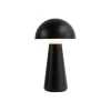 Sam Lampe Sort