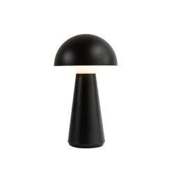 Sam Lampe Sort