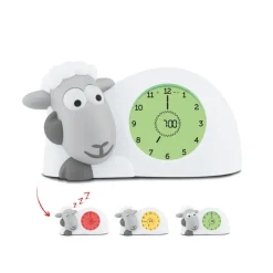 Sam Sleeptrainer