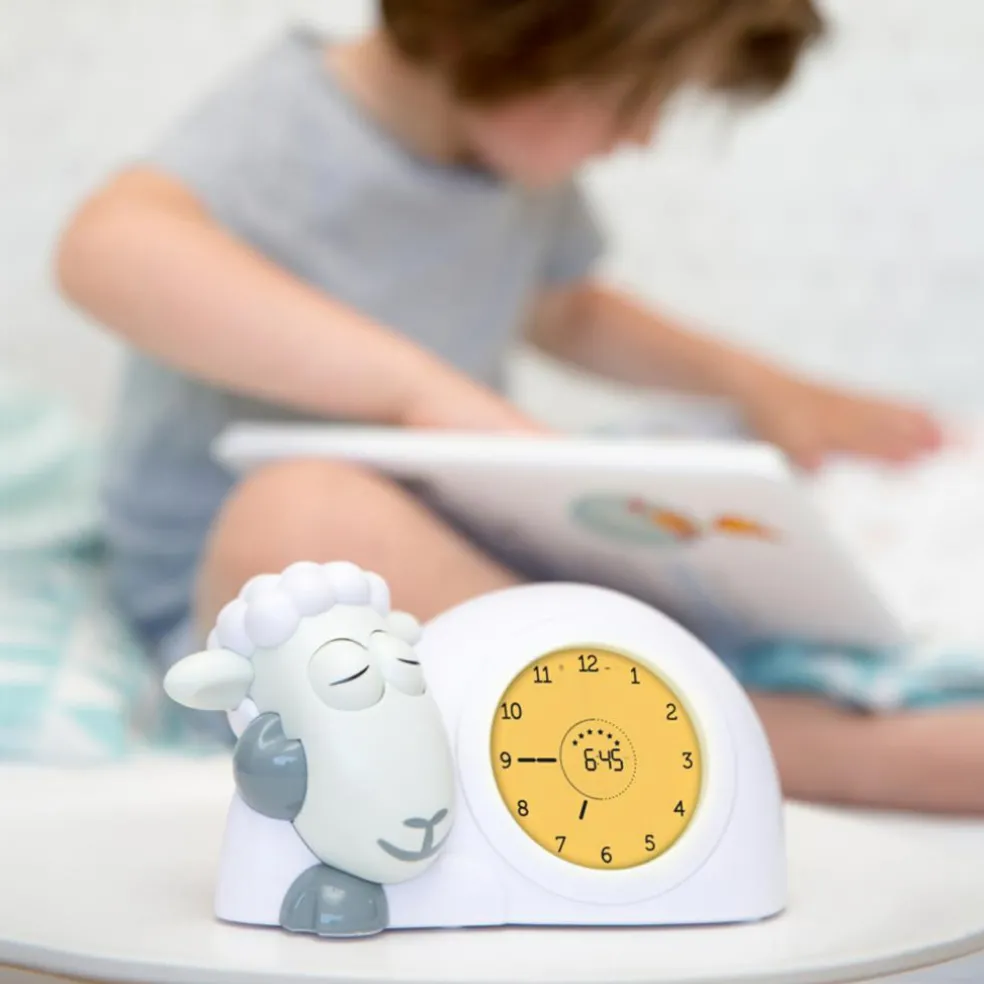 Sam Sleeptrainer