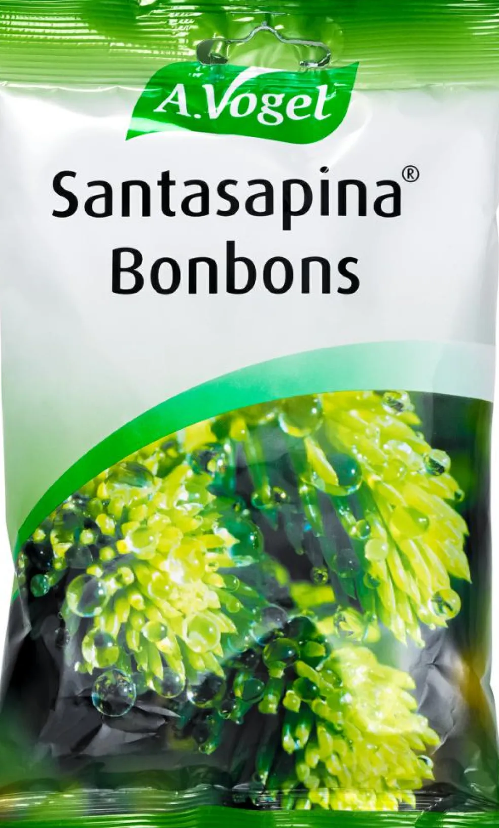Santasapina Bolcher