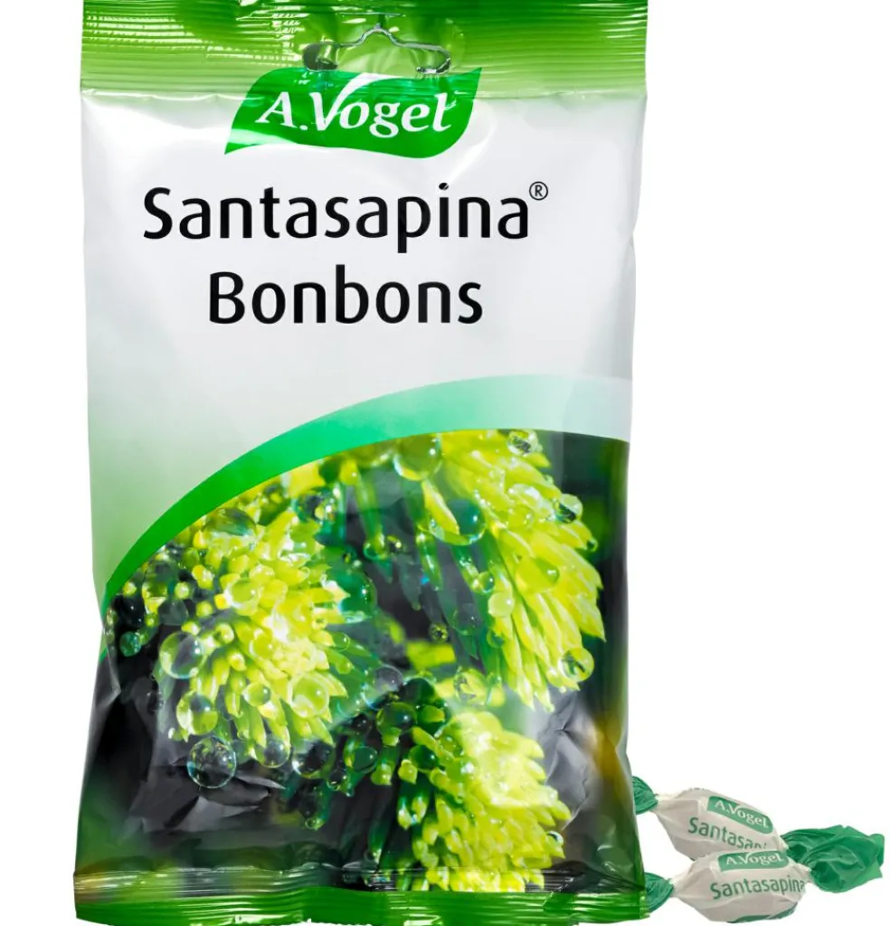 Santasapina Bolcher
