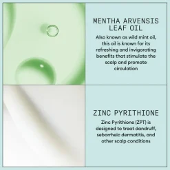 Scalp Recovery™ Scalp Treatment