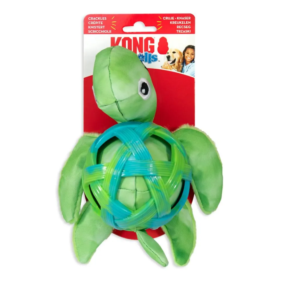 Sea Shell Turtle