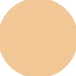 Skin Tint