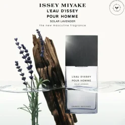 Solar Lavender