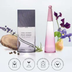 Solar Lavender