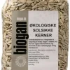 Solsikkekerner Ø