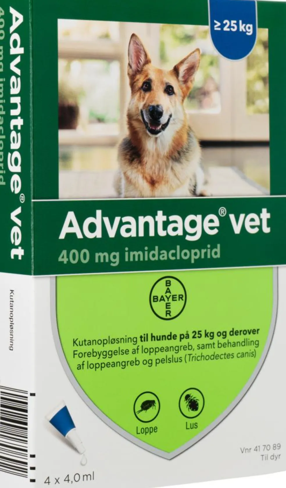 Spot-on til Hund