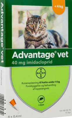 Spot-on til Kat