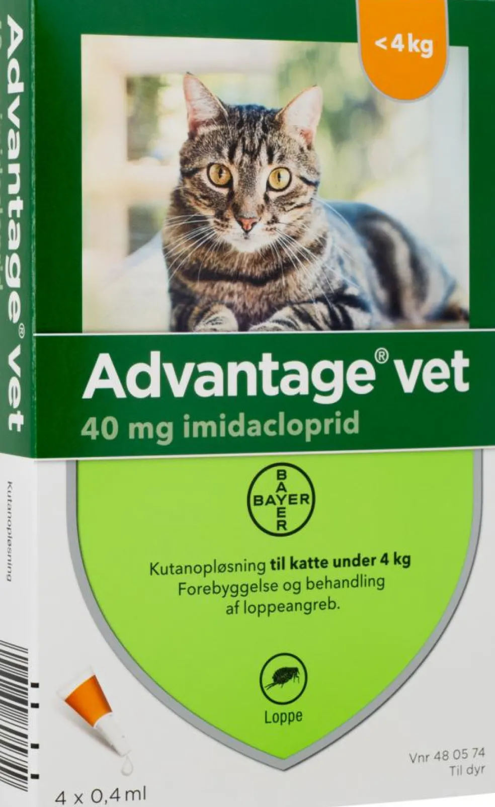 Spot-on til Kat