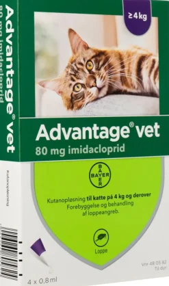 Spot-on til Kat