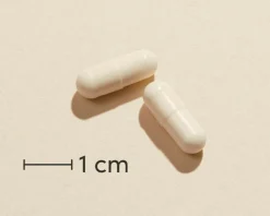 Symbioflor+