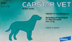 Tablet til Hund og Kat
