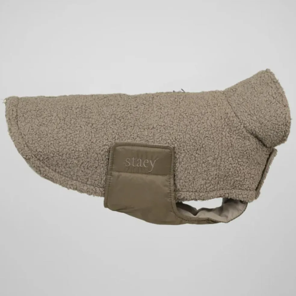 Teddy Dog Coat