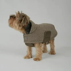 Teddy Dog Coat