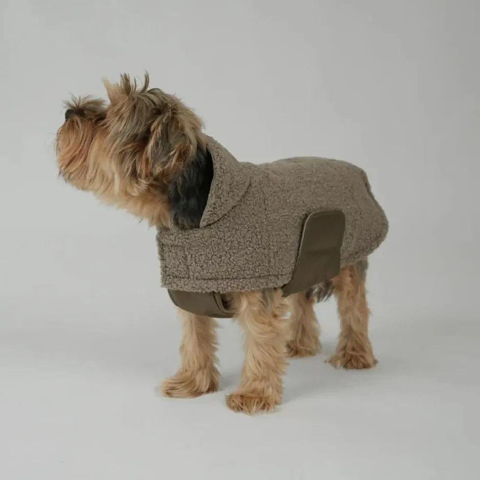 Teddy Dog Coat