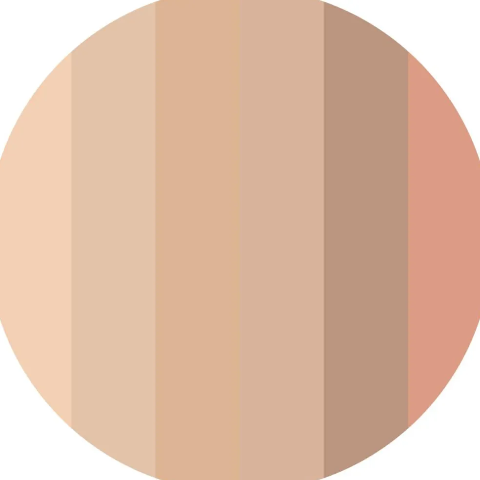 The Eyeshadow Palette