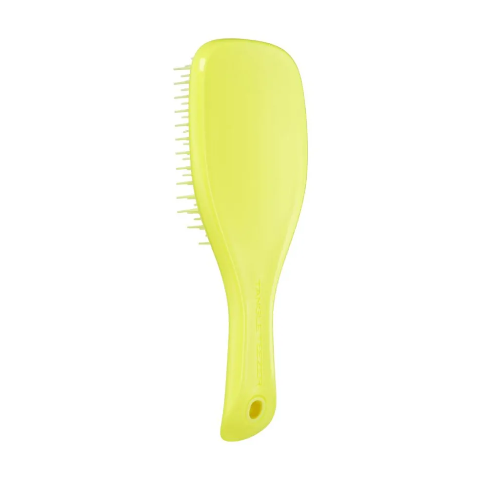 The Ultimate Detangler Mini