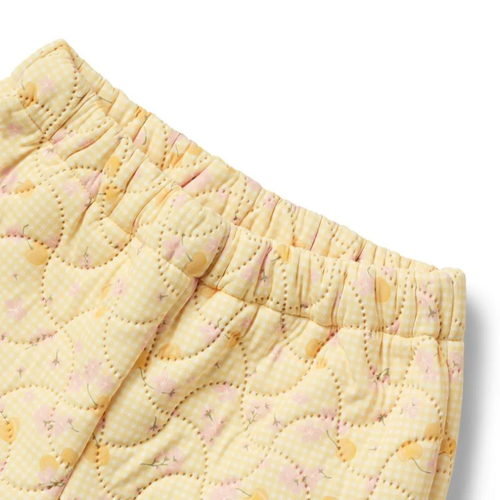 Thermo Pants Alex