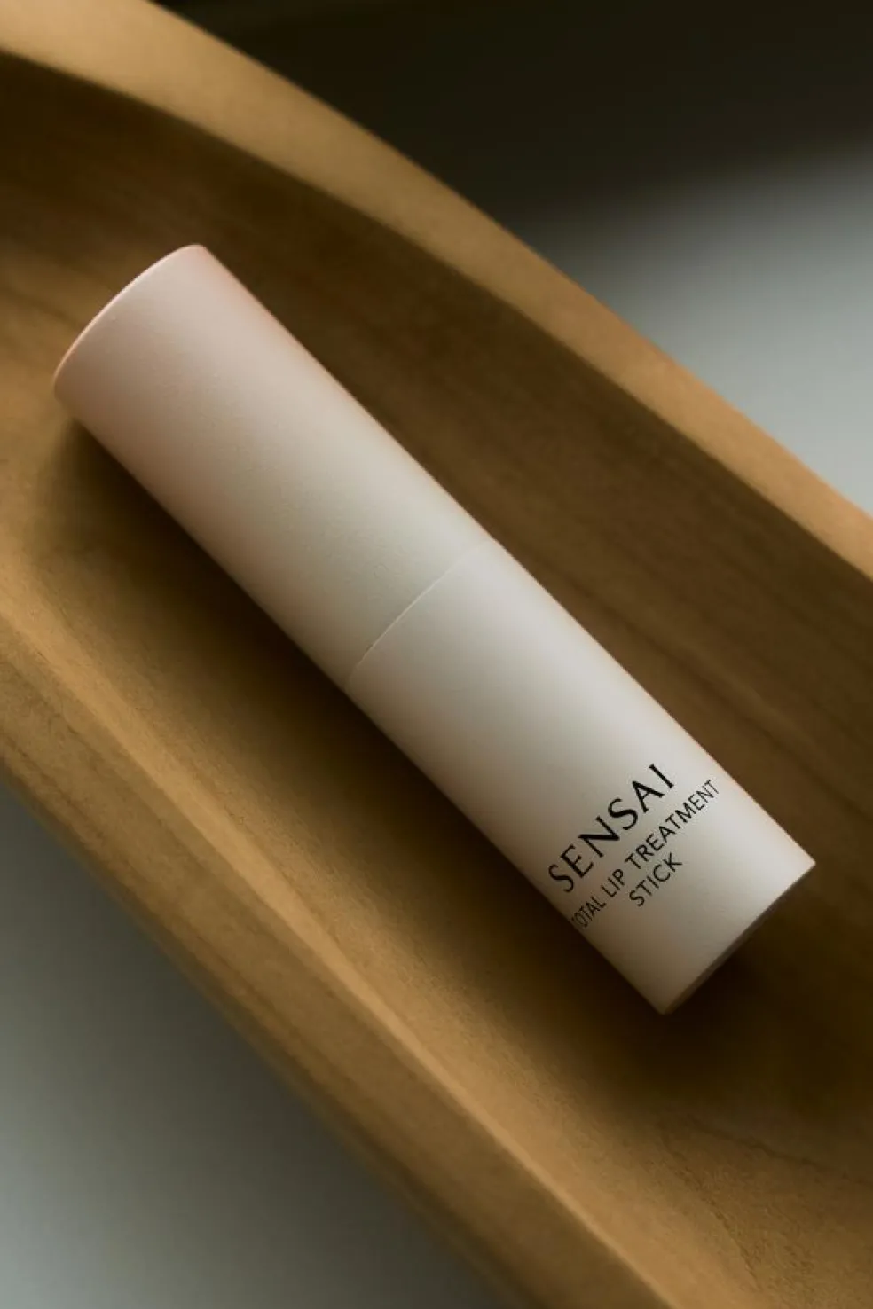 Total Lip Treatment Stick