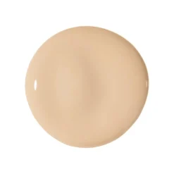 True Match The One Concealer