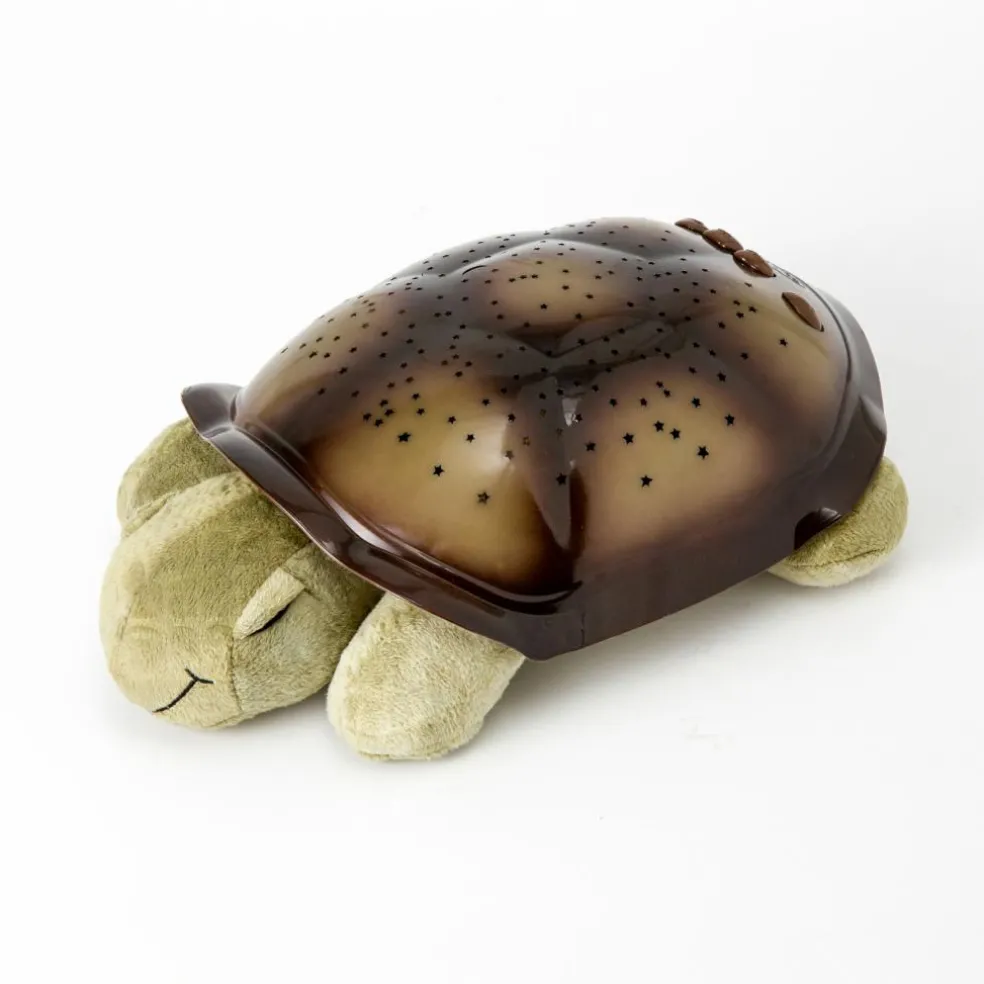 Twilight Turtle
