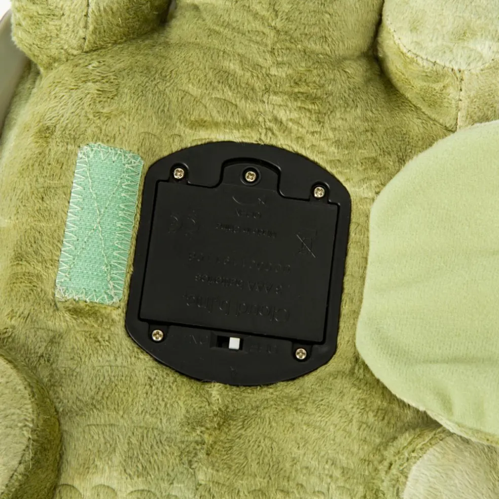 Twilight Turtle