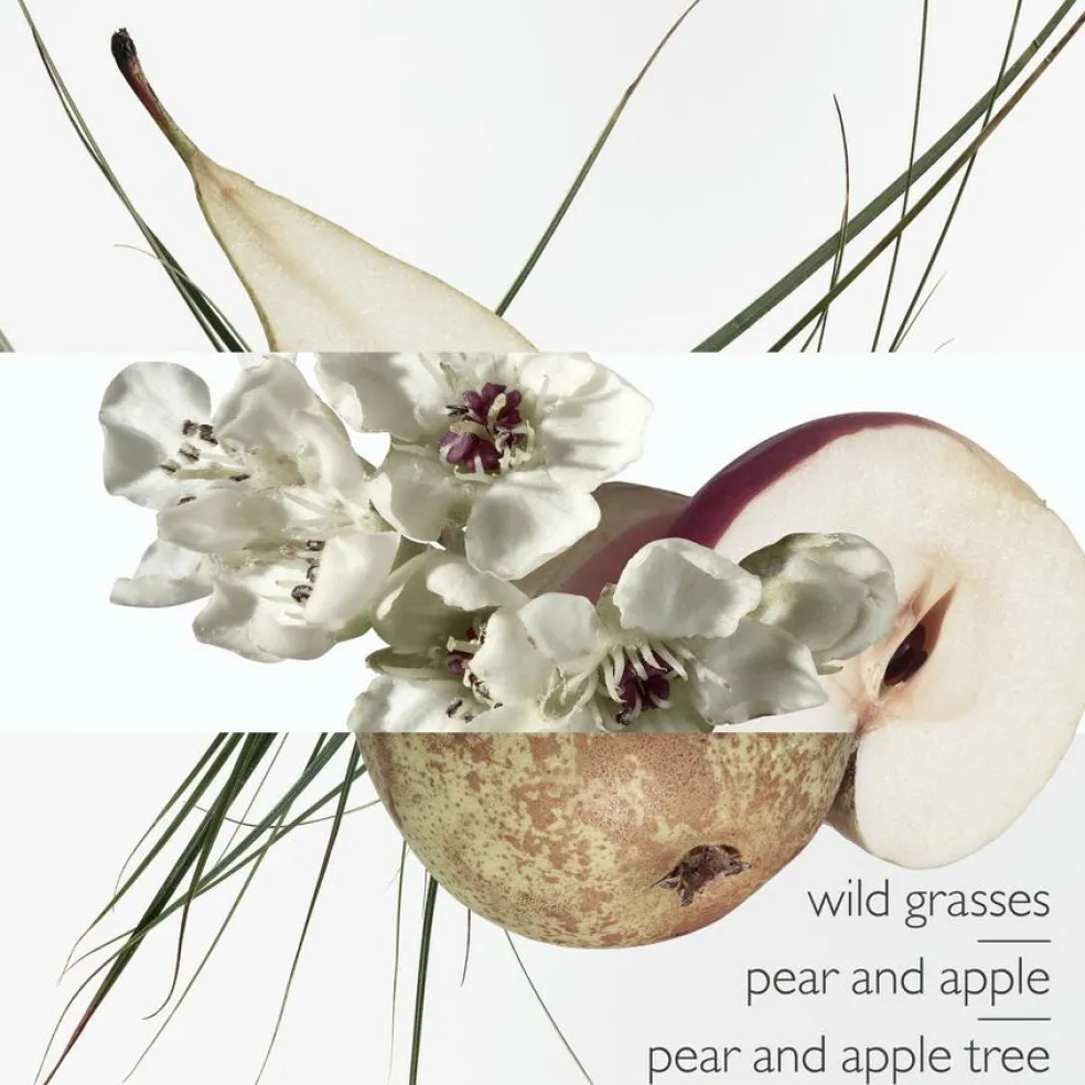 Un Jardin sur le Toit Eau de Toilette