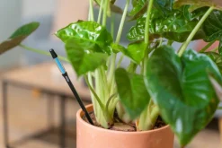 Vandmåler til Planter