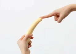 Vibrator