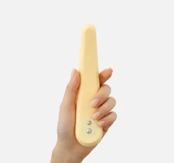 Vibrator