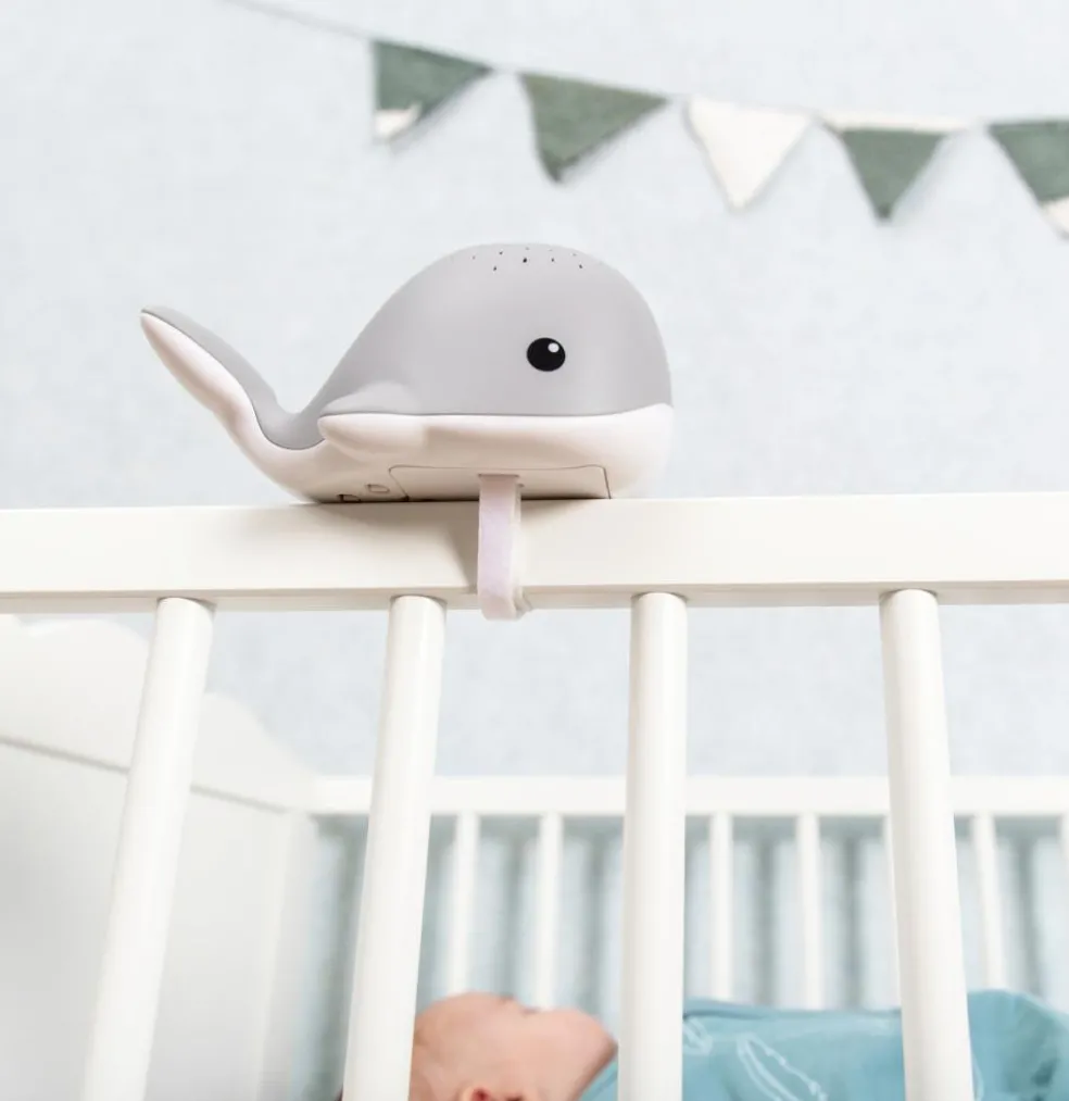 Wally the Whale Projector