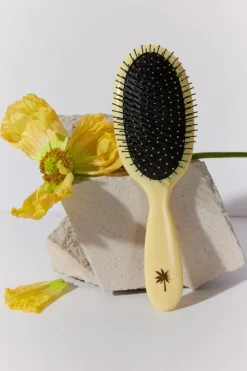 Wet Brush