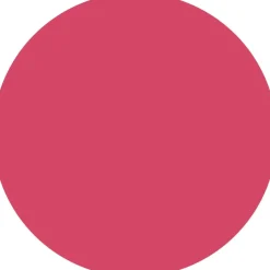 What A Tint! Lip & Cheek Tint